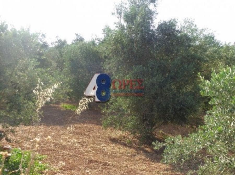 Οικόπεδο στην Άγιος Μηνάς, Χίος — Φωτογραφία 6 από 25
