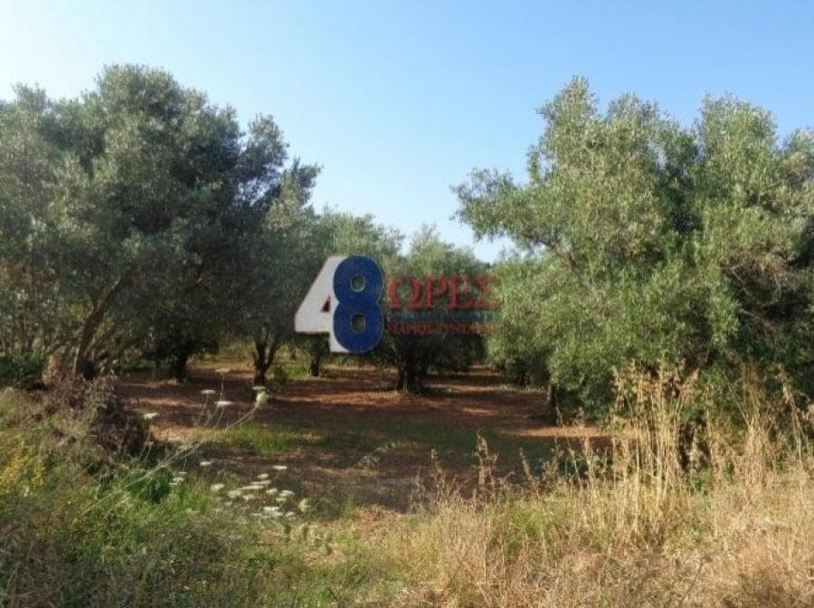 Οικόπεδο στην Άγιος Μηνάς, Χίος — Φωτογραφία 7 από 25
