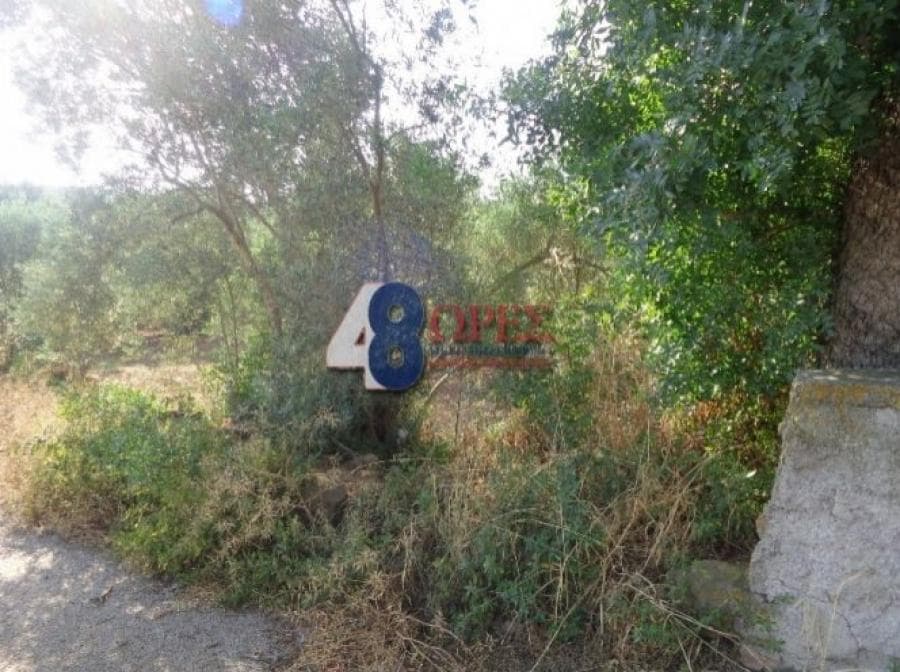 Οικόπεδο στην Άγιος Μηνάς, Χίος — Φωτογραφία 8 από 25