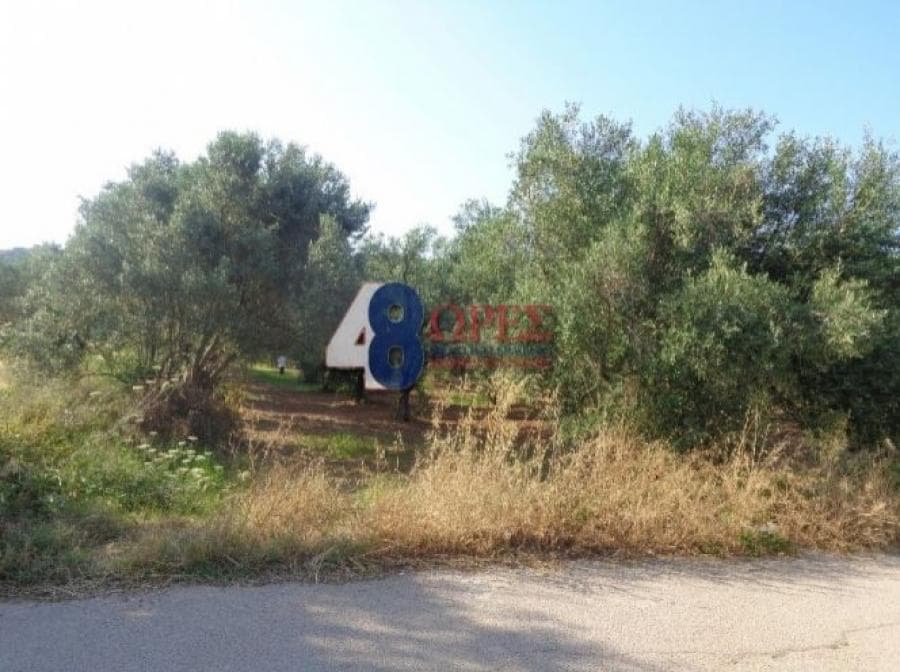 Οικόπεδο στην Άγιος Μηνάς, Χίος — Φωτογραφία 9 από 25