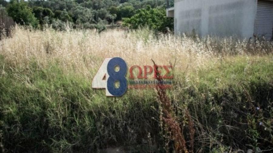 Οικόπεδο στην Άγιος Μηνάς, Χίος — Φωτογραφία 9 από 9