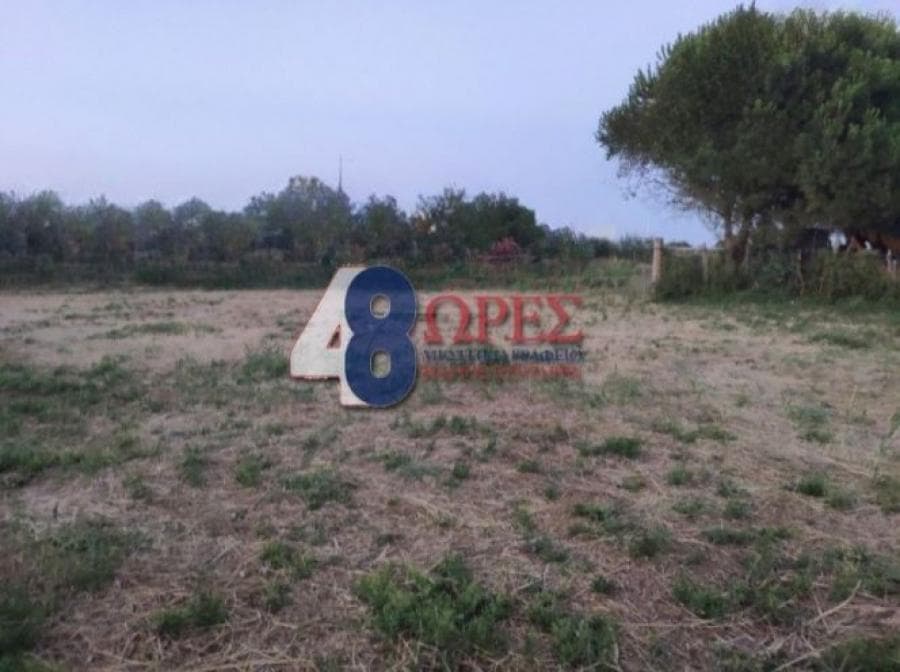 Οικόπεδο στην Άγιος Μηνάς, Χίος — Φωτογραφία 9 από 10
