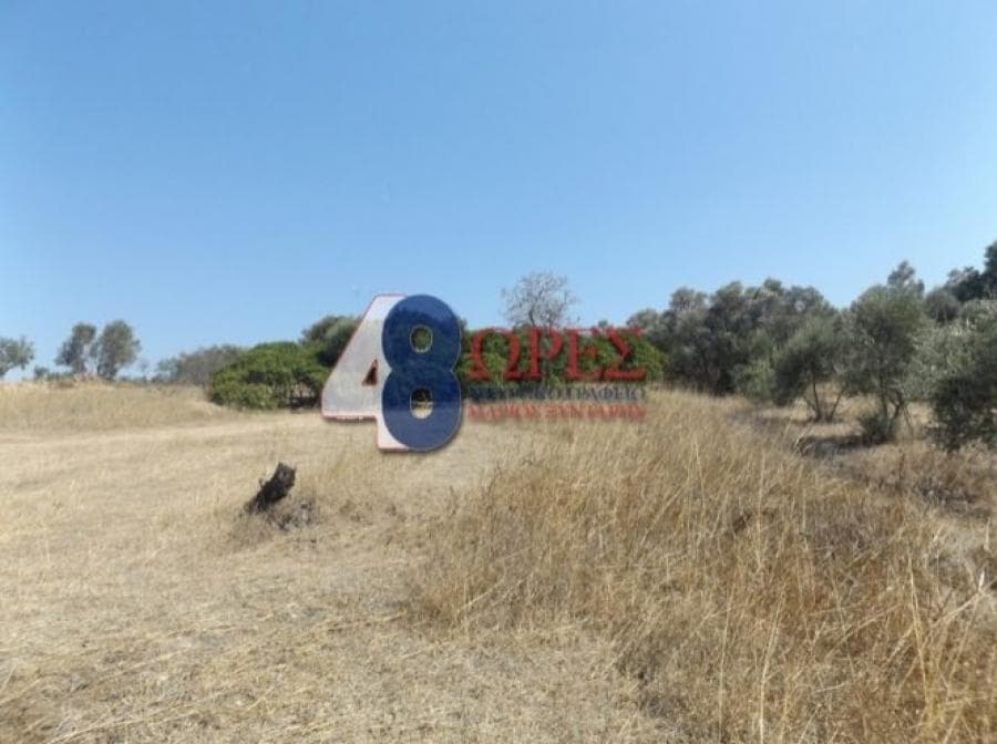 Αγροτεμάχιο στην Άγιος Μηνάς, Χίος — Φωτογραφία 1 από 9