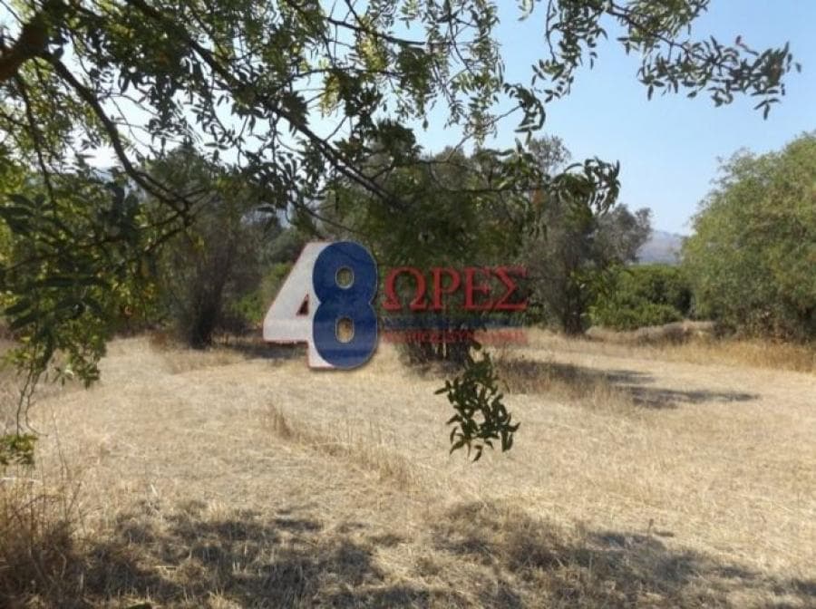 Αγροτεμάχιο στην Άγιος Μηνάς, Χίος — Φωτογραφία 2 από 9
