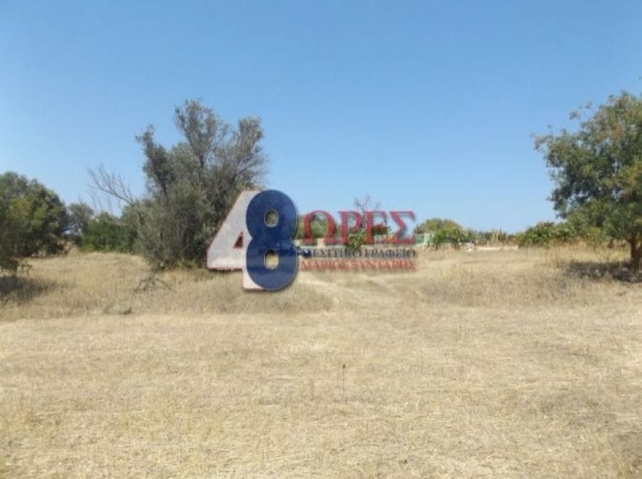 Αγροτεμάχιο στην Άγιος Μηνάς, Χίος — Φωτογραφία 3 από 9