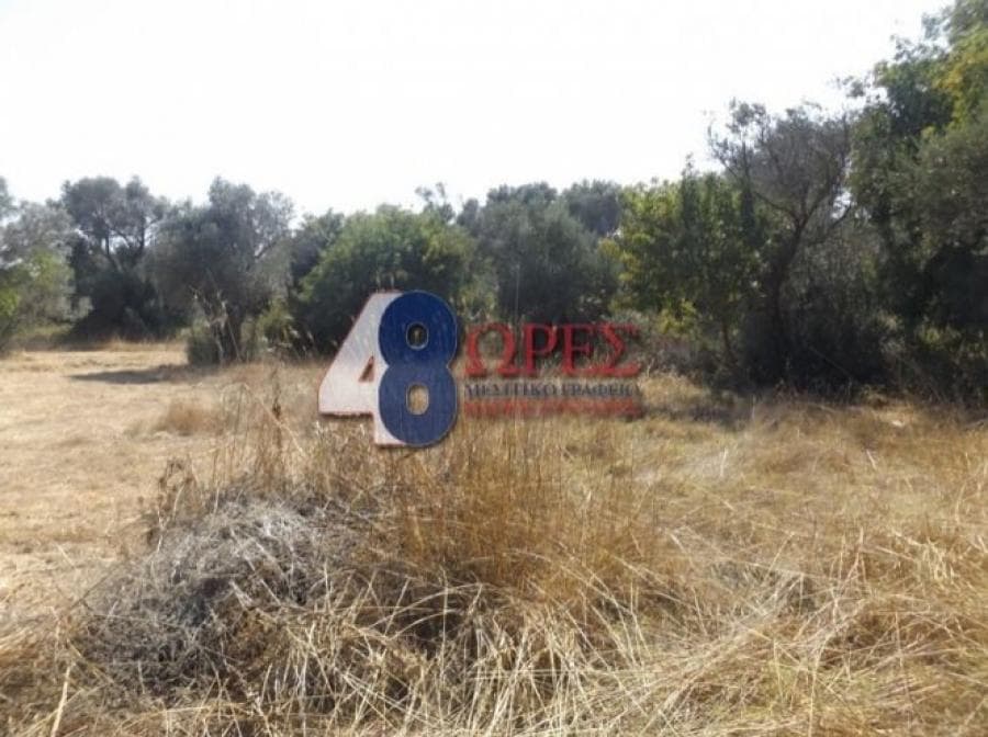 Αγροτεμάχιο στην Άγιος Μηνάς, Χίος — Φωτογραφία 4 από 9