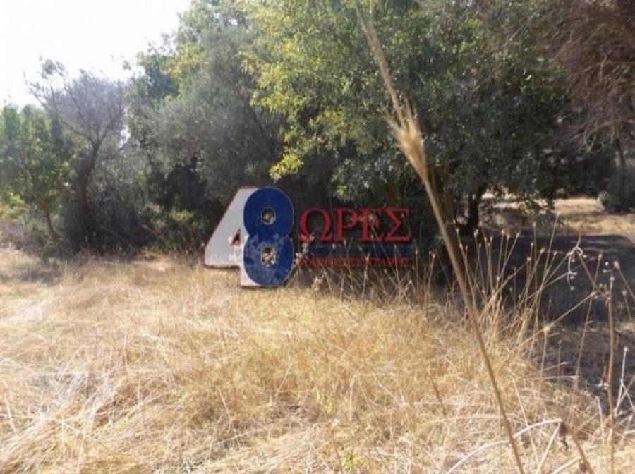Αγροτεμάχιο στην Άγιος Μηνάς, Χίος — Φωτογραφία 5 από 9