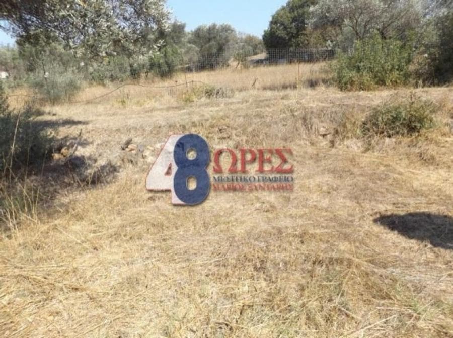 Αγροτεμάχιο στην Άγιος Μηνάς, Χίος — Φωτογραφία 6 από 9