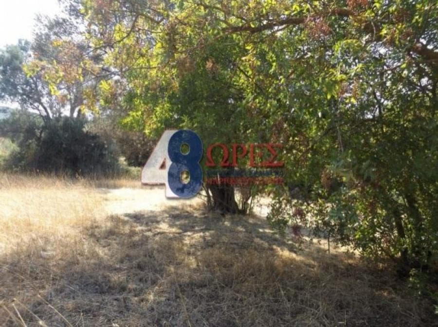Αγροτεμάχιο στην Άγιος Μηνάς, Χίος — Φωτογραφία 7 από 9