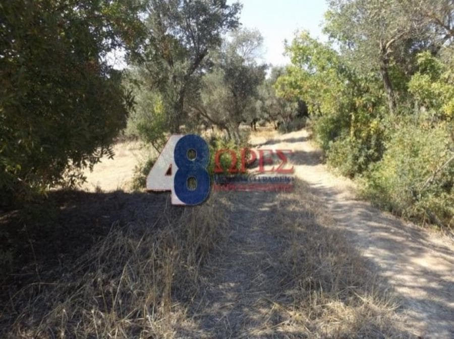Αγροτεμάχιο στην Άγιος Μηνάς, Χίος — Φωτογραφία 8 από 9
