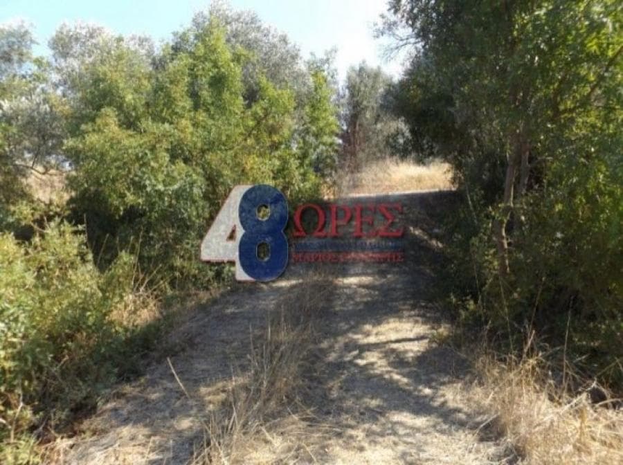 Αγροτεμάχιο στην Άγιος Μηνάς, Χίος — Φωτογραφία 9 από 9