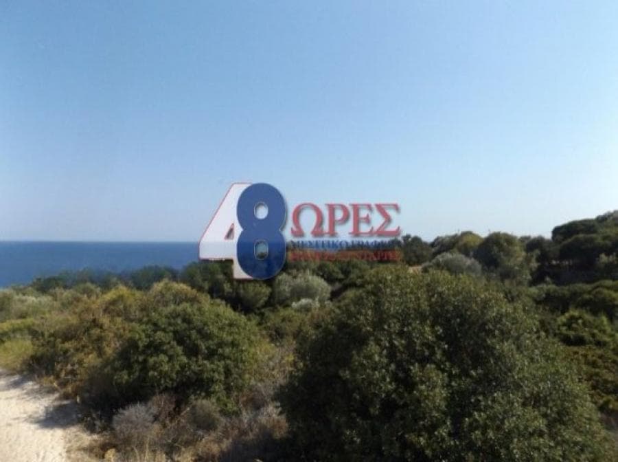 Αγροτεμάχιο στην Άγιος Μηνάς, Χίος — Φωτογραφία 1 από 5
