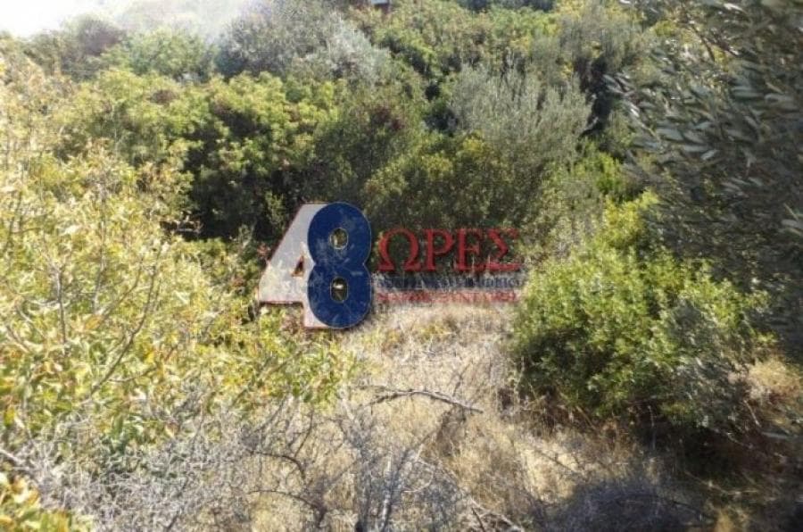Αγροτεμάχιο στην Άγιος Μηνάς, Χίος — Φωτογραφία 2 από 5