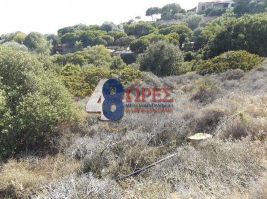 Αγροτεμάχιο στην Άγιος Μηνάς, Χίος — Φωτογραφία 3 από 5