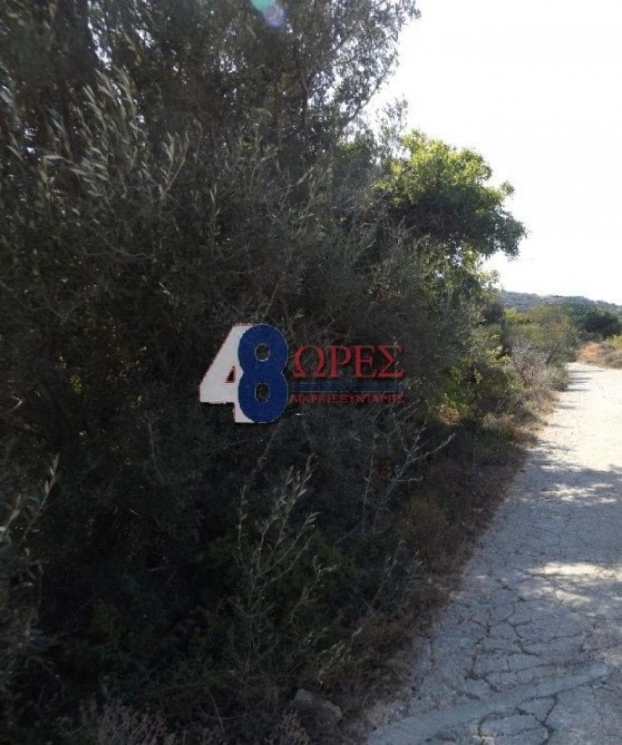 Αγροτεμάχιο στην Άγιος Μηνάς, Χίος — Φωτογραφία 5 από 5
