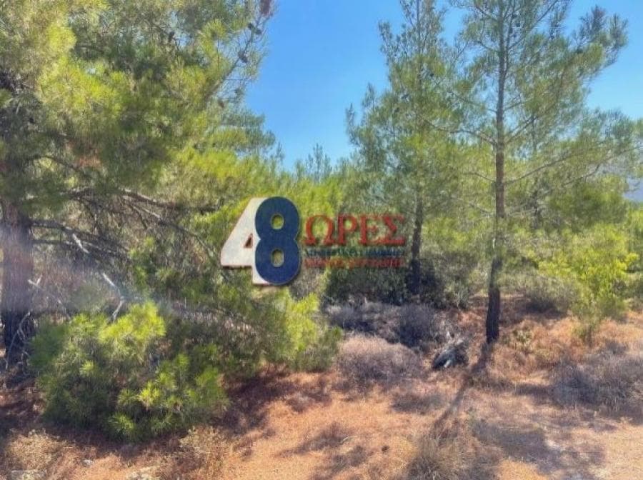 Οικόπεδο στην Αμάνη, Χίος — Φωτογραφία 1 από 4