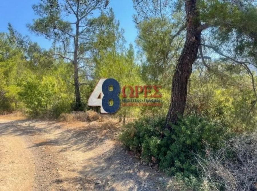 Οικόπεδο στην Αμάνη, Χίος — Φωτογραφία 3 από 4