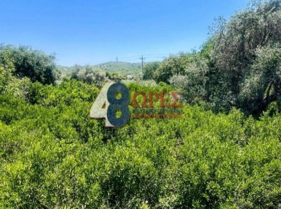 Οικόπεδο στην Άγιος Μηνάς, Χίος — Φωτογραφία 17 από 20