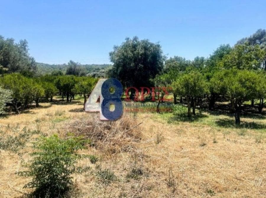 Οικόπεδο στην Άγιος Μηνάς, Χίος — Φωτογραφία 18 από 20