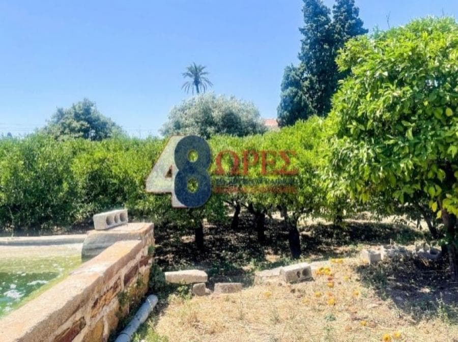 Οικόπεδο στην Άγιος Μηνάς, Χίος — Φωτογραφία 19 από 20