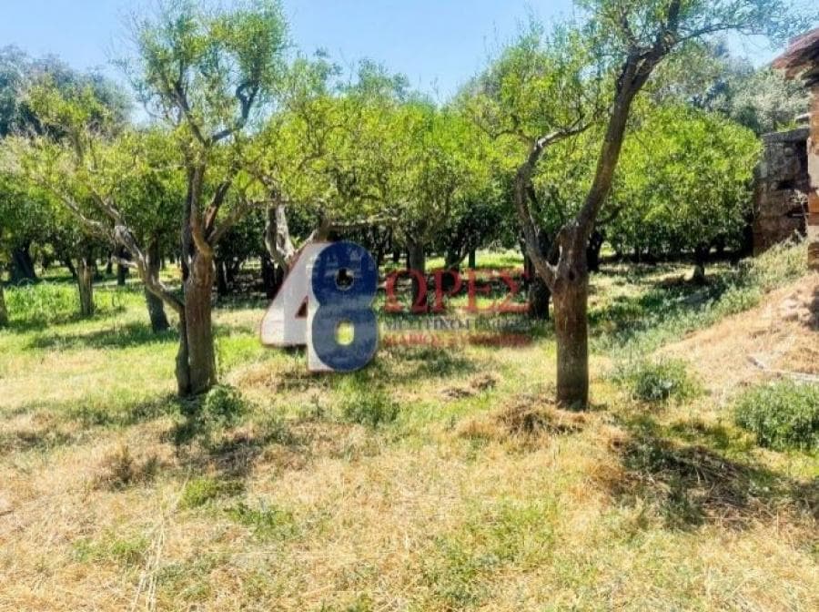 Οικόπεδο στην Άγιος Μηνάς, Χίος — Φωτογραφία 2 από 20