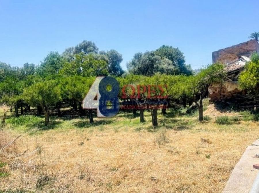 Οικόπεδο στην Άγιος Μηνάς, Χίος — Φωτογραφία 3 από 20