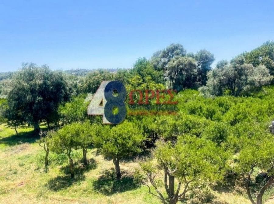 Οικόπεδο στην Άγιος Μηνάς, Χίος — Φωτογραφία 4 από 20