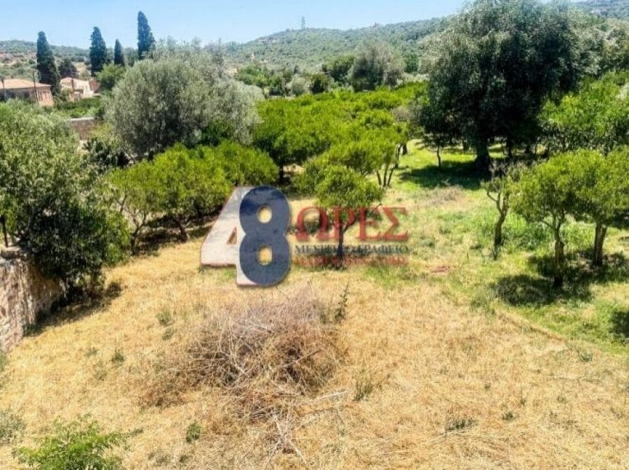 Οικόπεδο στην Άγιος Μηνάς, Χίος — Φωτογραφία 7 από 20
