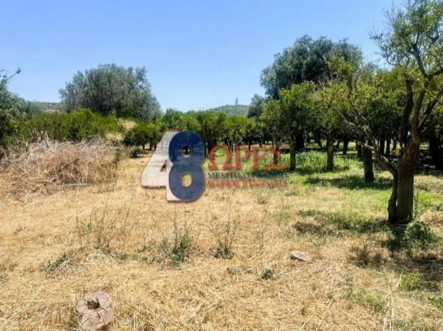Οικόπεδο στην Άγιος Μηνάς, Χίος — Φωτογραφία 8 από 20