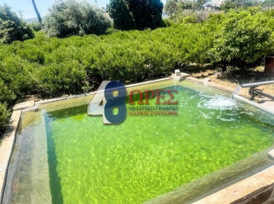 Οικόπεδο στην Άγιος Μηνάς, Χίος — Φωτογραφία 9 από 20