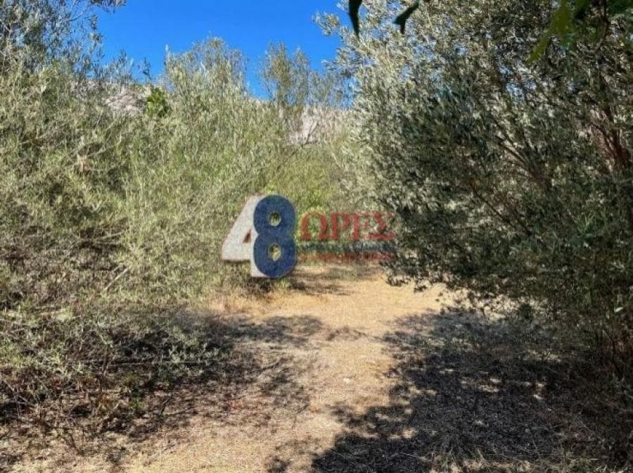 Οικόπεδο στην Πόλη Χίου, Χίος — Φωτογραφία 4 από 4