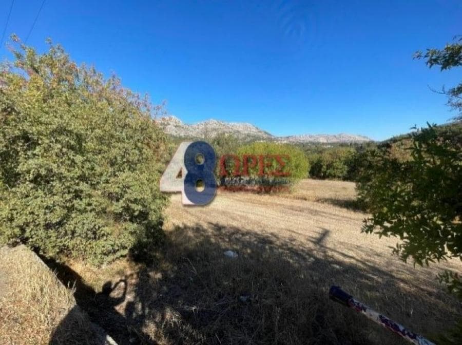 Οικόπεδο στην Καμποχώρια, Χίος — Φωτογραφία 1 από 3