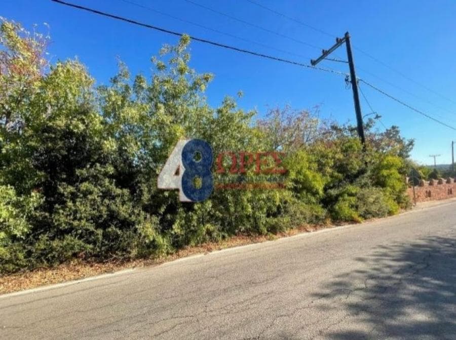 Οικόπεδο στην Καμποχώρια, Χίος — Φωτογραφία 3 από 3