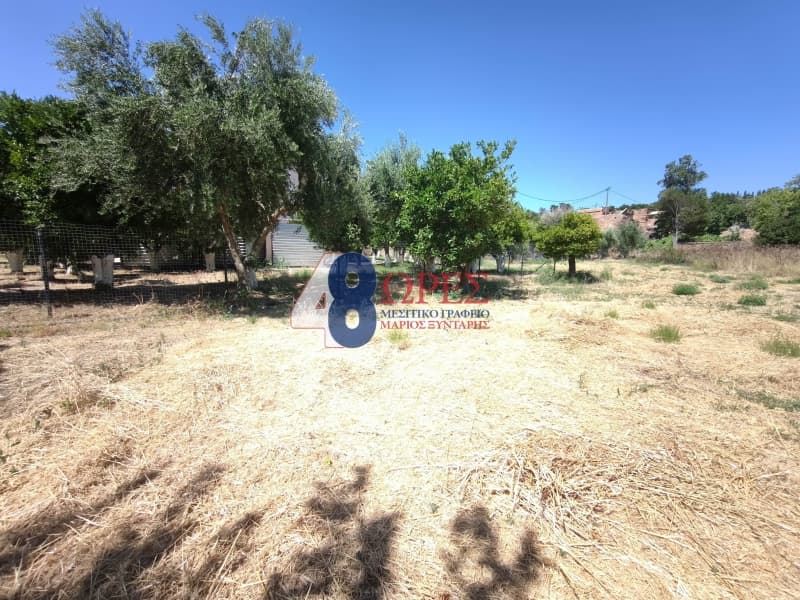 Οικόπεδο στην Άγιος Μηνάς, Χίος — Φωτογραφία 5 από 21