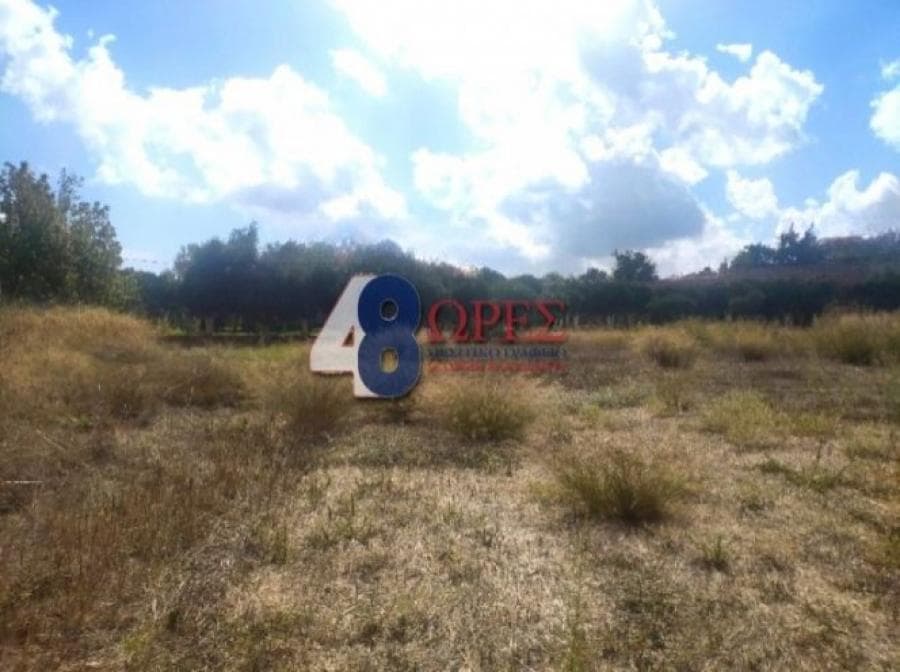 Οικόπεδο στην Άγιος Μηνάς, Χίος — Φωτογραφία 17 από 21