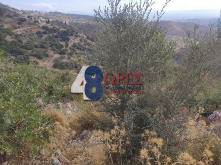 Οικόπεδο στην Ομηρούπολη, Χίος — Φωτογραφία 17 από 20