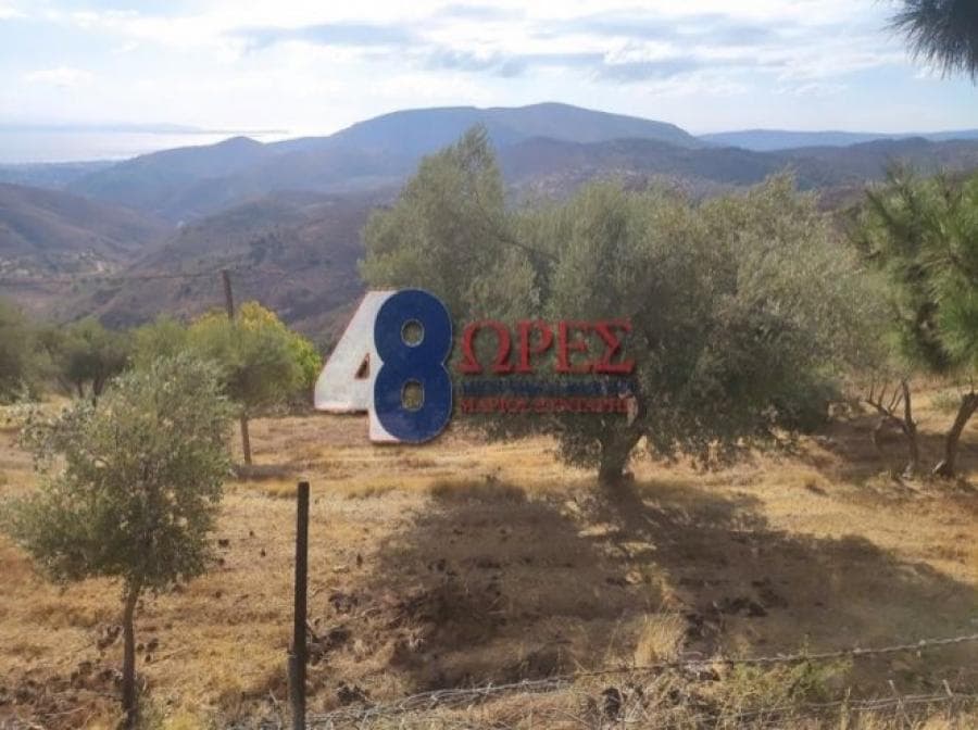 Οικόπεδο στην Ομηρούπολη, Χίος — Φωτογραφία 2 από 20