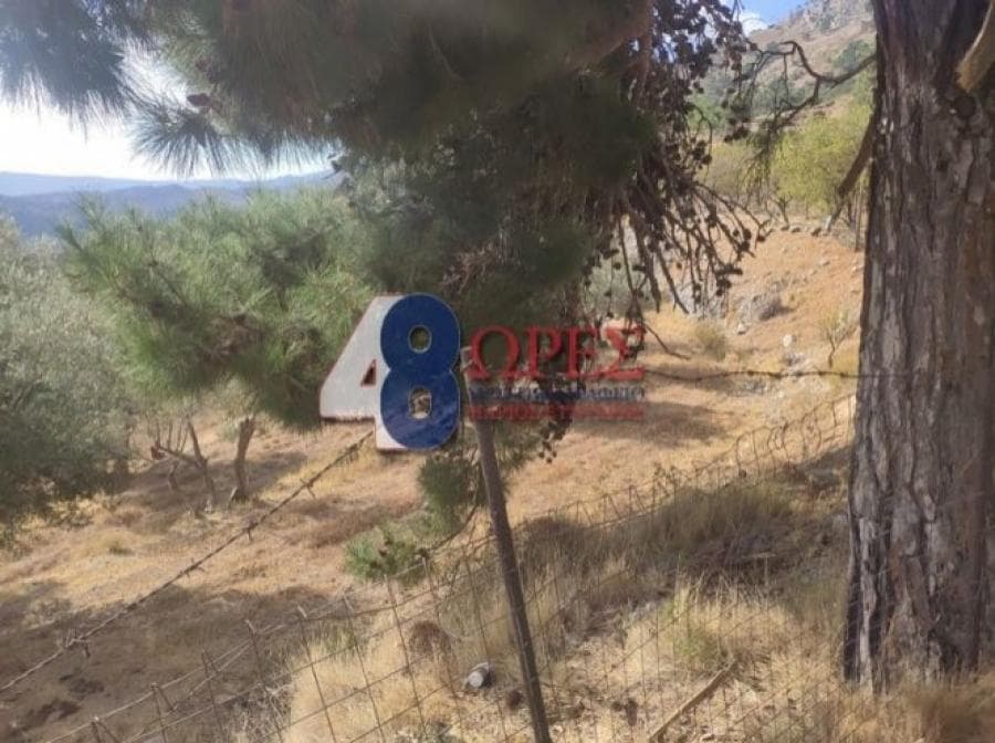 Οικόπεδο στην Ομηρούπολη, Χίος — Φωτογραφία 3 από 20