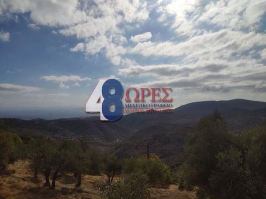 Οικόπεδο στην Ομηρούπολη, Χίος — Φωτογραφία 4 από 20