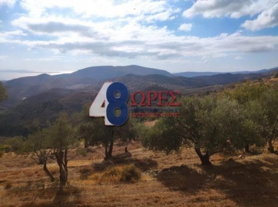 Οικόπεδο στην Ομηρούπολη, Χίος — Φωτογραφία 8 από 20