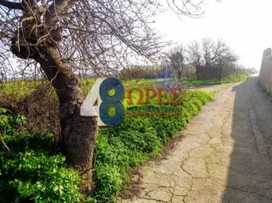 Οικόπεδο στην Πόλη Χίου, Χίος — Φωτογραφία 6 από 7