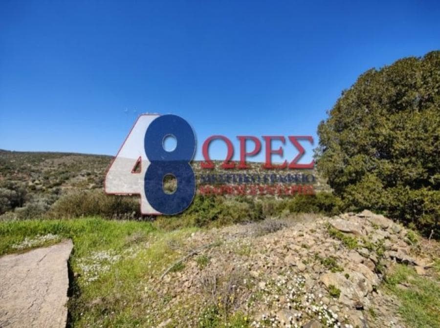 Αγροτεμάχιο στην Μαστιχοχώρια, Χίος — Φωτογραφία 1 από 8