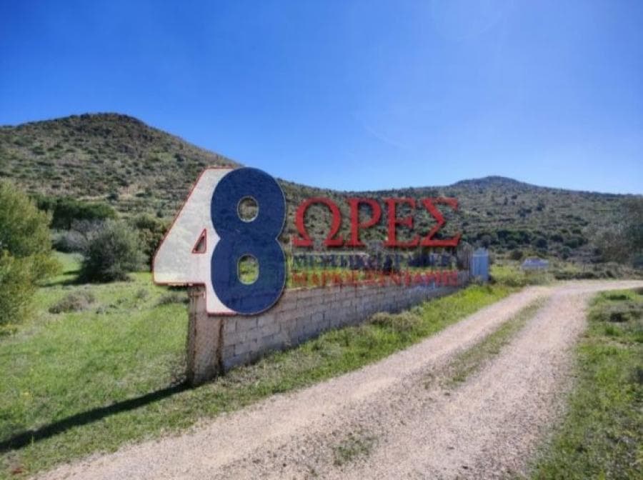 Αγροτεμάχιο στην Μαστιχοχώρια, Χίος — Φωτογραφία 7 από 8