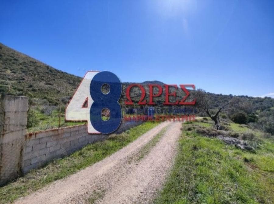 Αγροτεμάχιο στην Μαστιχοχώρια, Χίος — Φωτογραφία 8 από 8