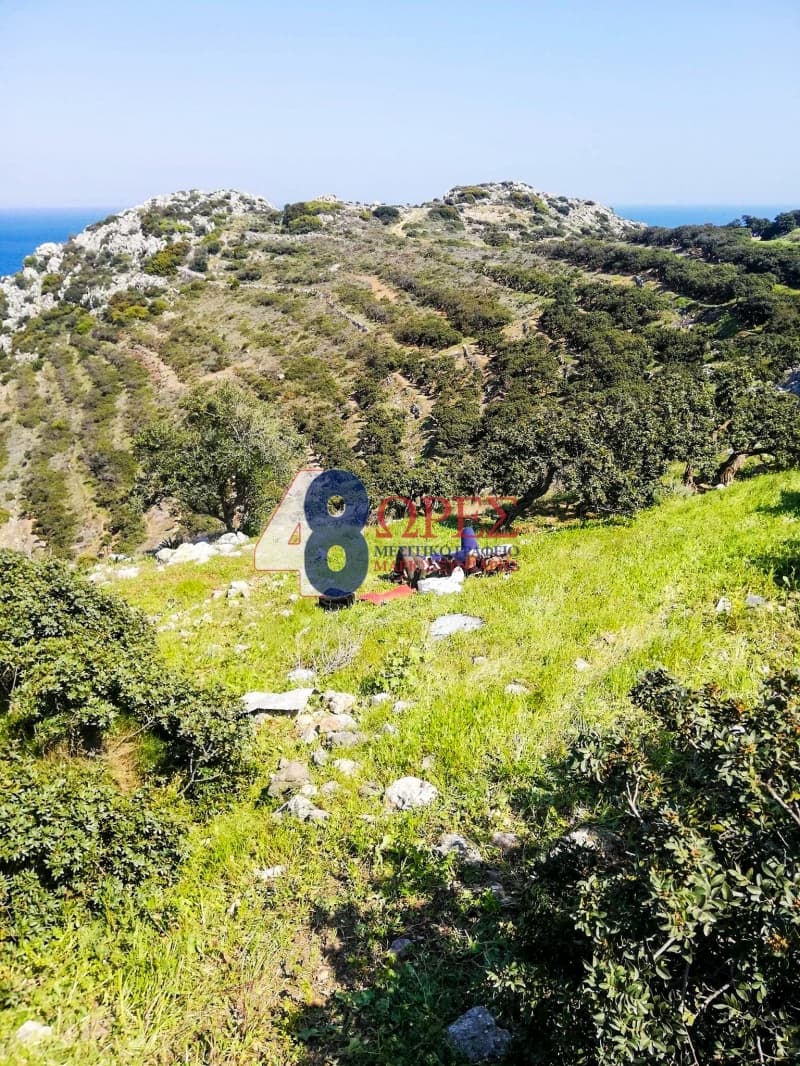 Οικόπεδο στην Μαστιχοχώρια, Χίος — Φωτογραφία 26 από 26