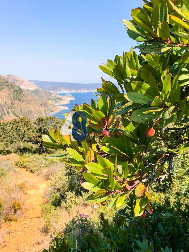Οικόπεδο στην Μαστιχοχώρια, Χίος — Φωτογραφία 19 από 26