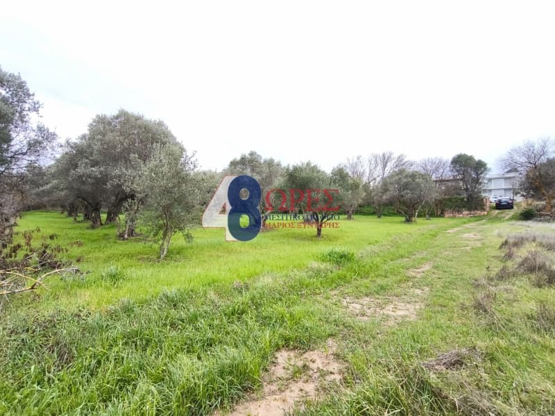 Οικόπεδο στην Άγιος Μηνάς, Χίος — Φωτογραφία 8 από 12