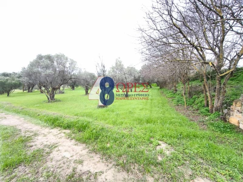 Οικόπεδο στην Άγιος Μηνάς, Χίος — Φωτογραφία 11 από 12