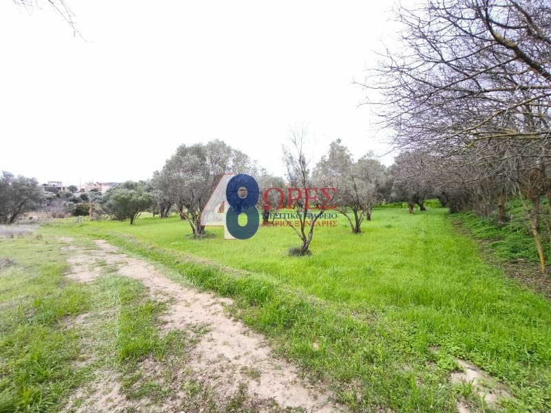 Οικόπεδο στην Άγιος Μηνάς, Χίος — Φωτογραφία 12 από 12