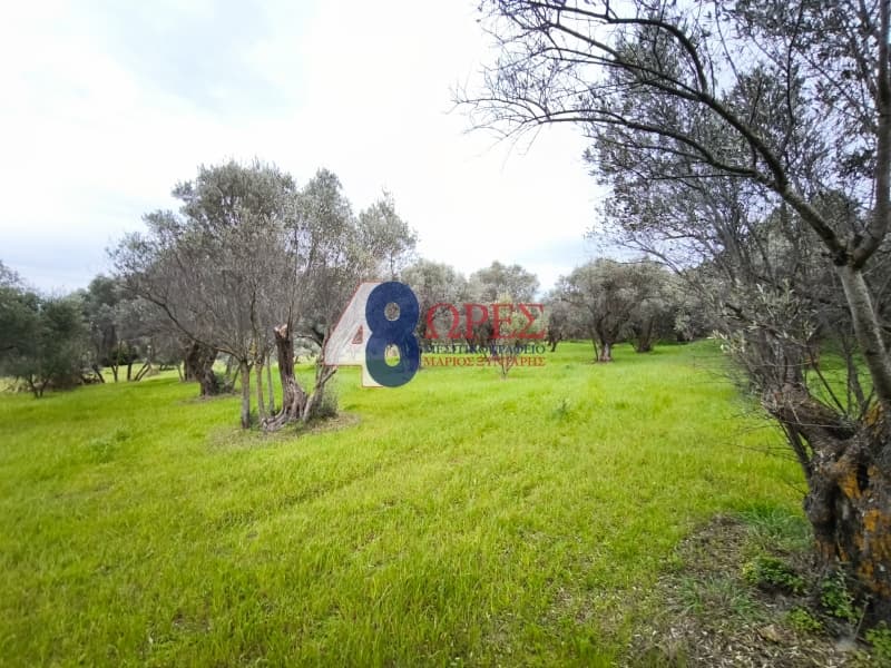 Οικόπεδο στην Άγιος Μηνάς, Χίος — Φωτογραφία 5 από 12